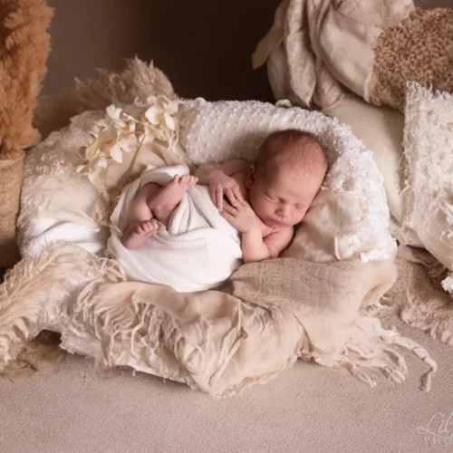 Nouveau-né paisible endormi dans un cocon de tissus doux et pampas bohèmes - Photographe Naissance proche de Mondeville