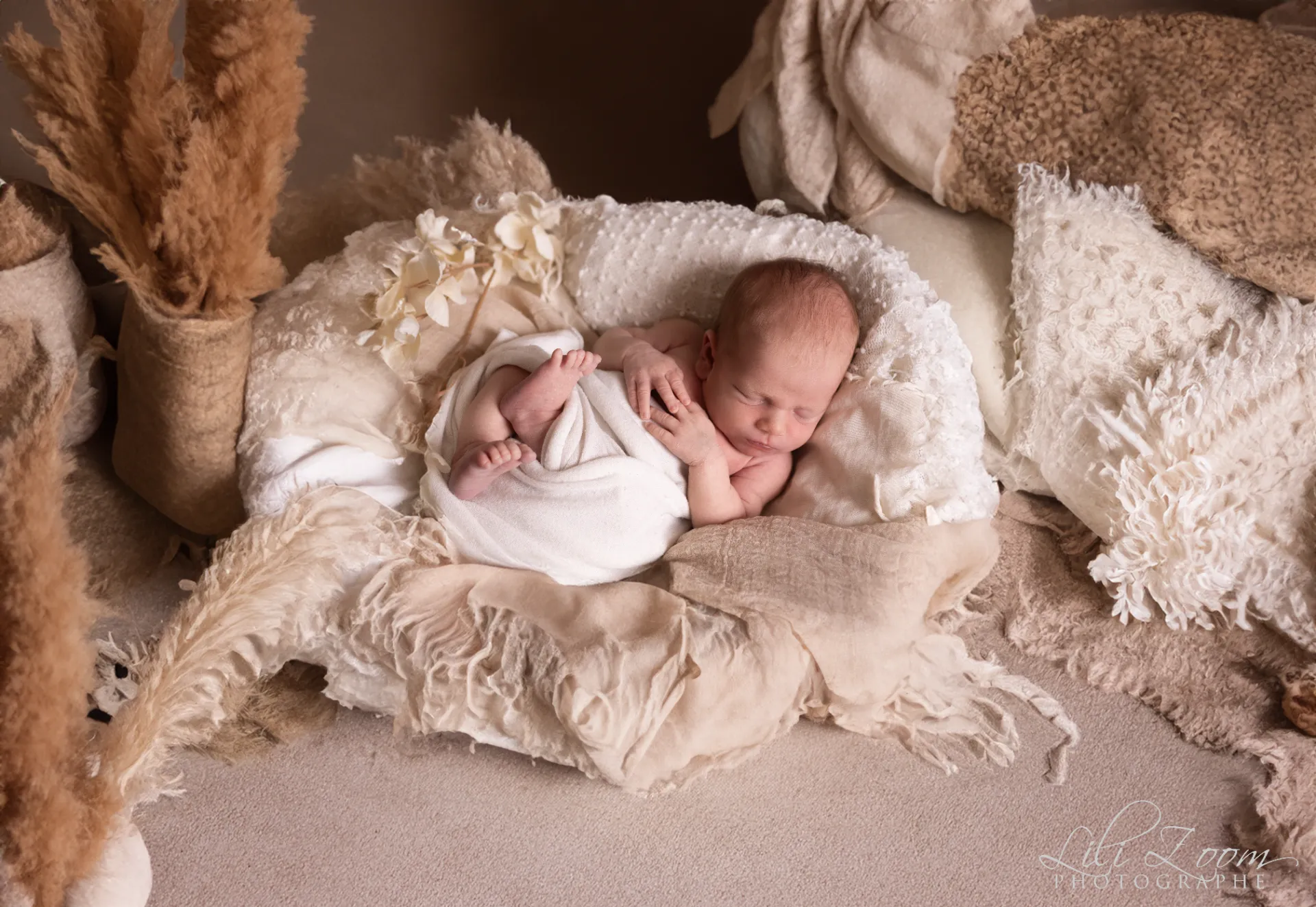 Nouveau-né paisible endormi dans un cocon de tissus doux et pampas bohèmes - Photographe Naissance proche de Mondeville